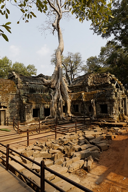 Ta Phrom et environs-061
